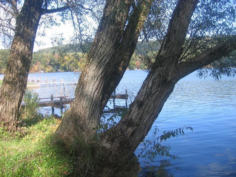 Red Carpet Inn On The Lake - Oneonta Exterior foto